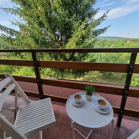 فيلا Hoopovo House Fruska Gora Irig المظهر الخارجي الصورة