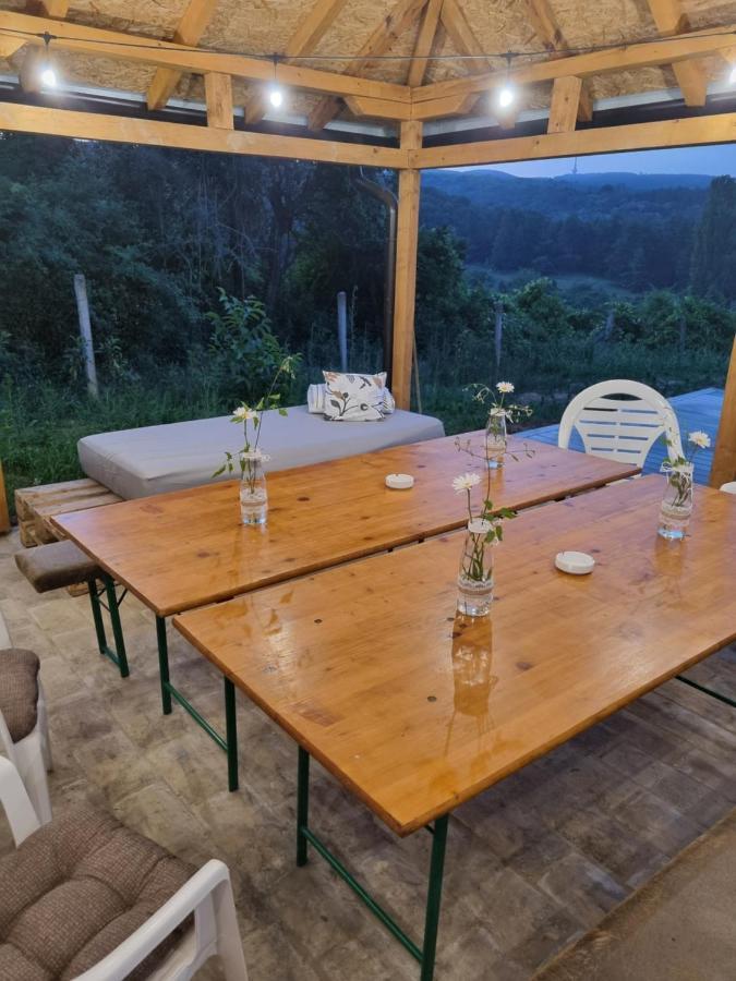 فيلا Hoopovo House Fruska Gora Irig المظهر الخارجي الصورة