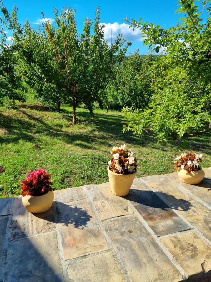 فيلا Hoopovo House Fruska Gora Irig المظهر الخارجي الصورة