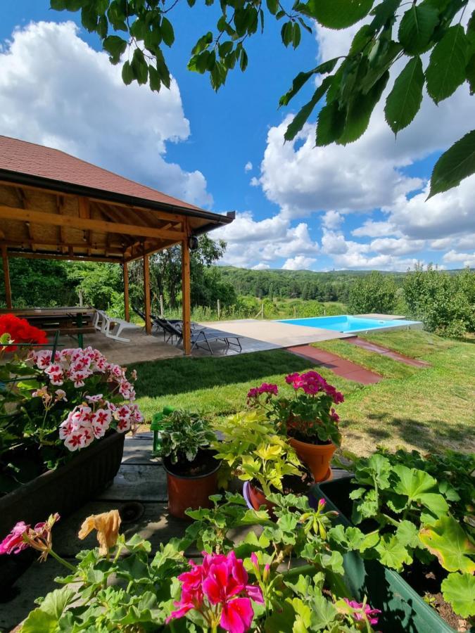 فيلا Hoopovo House Fruska Gora Irig المظهر الخارجي الصورة